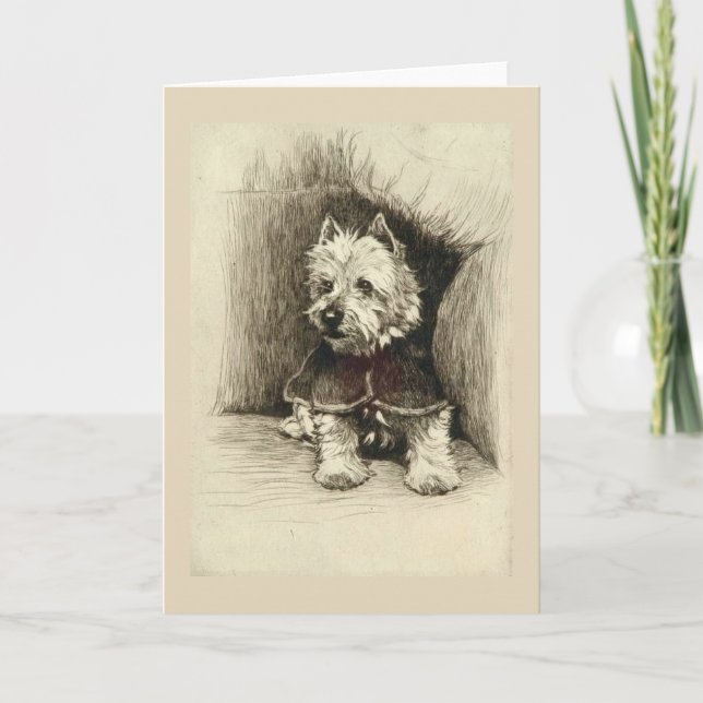 Carte Cru - portrait d'un Westie, (Devant)