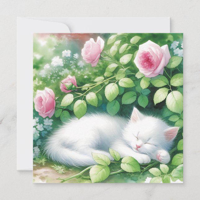 Carte Cube Kitten Blanc Nappant Sous Rosebush (Devant)