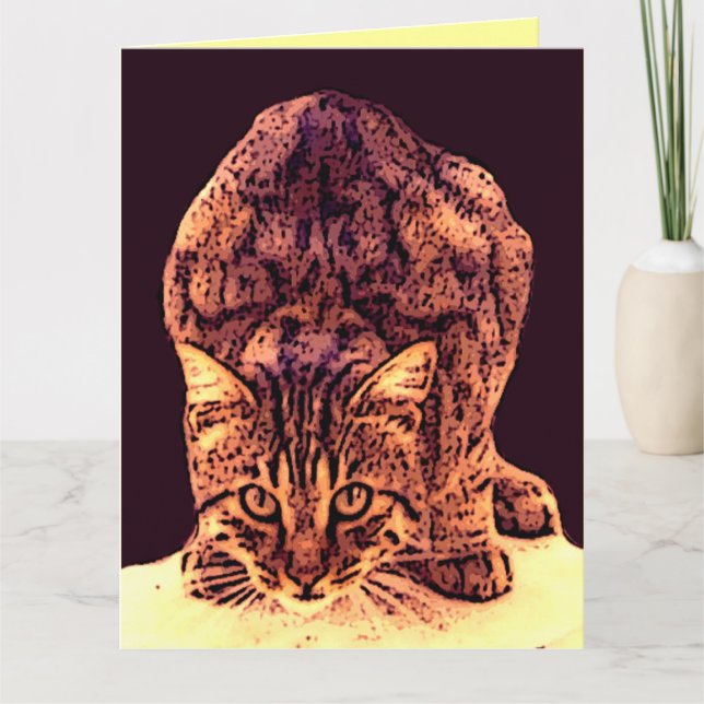 CARTE CUISINE WILD CAT (Devant)