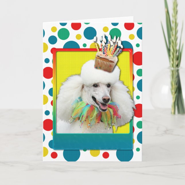 Carte Cupcake Anniversaire - Poodé - Blanc (Devant)