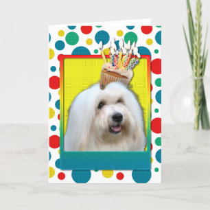 Carte Cupcake d'anniversaire - Coton de Tulear