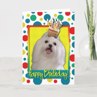 Carte Cupcake d'anniversaire - Maltais