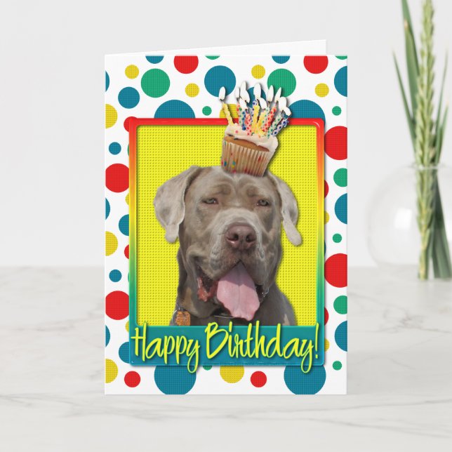 Carte Cupcake d'anniversaire - Mastiff - Snoop (Devant)