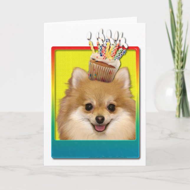 Carte Cupcake d'anniversaire - Pomeranian (Devant)