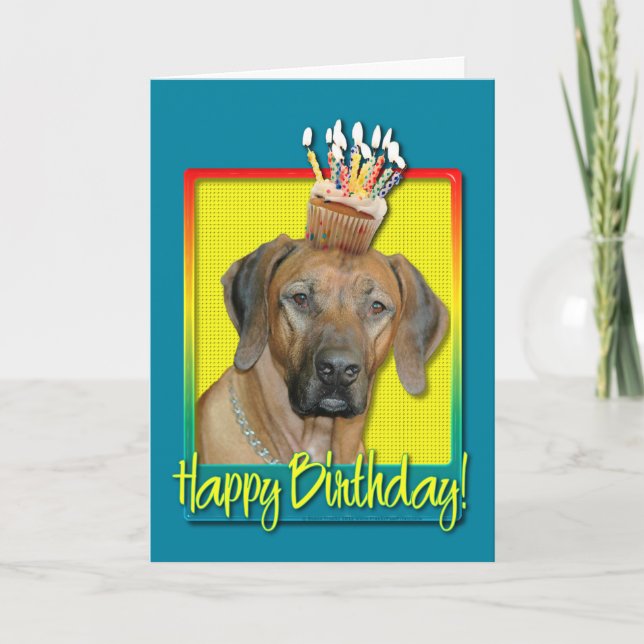 Carte Cupcake d'anniversaire - Rhodesian Ridgeback (Devant)