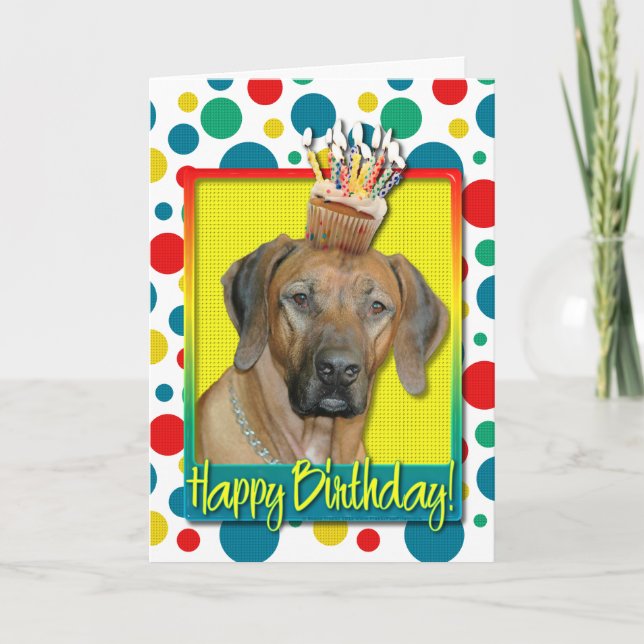 Carte Cupcake d'anniversaire - Rhodesian Ridgeback (Devant)