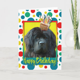 Carte Cupcake d'anniversaire - Terre-Neuve