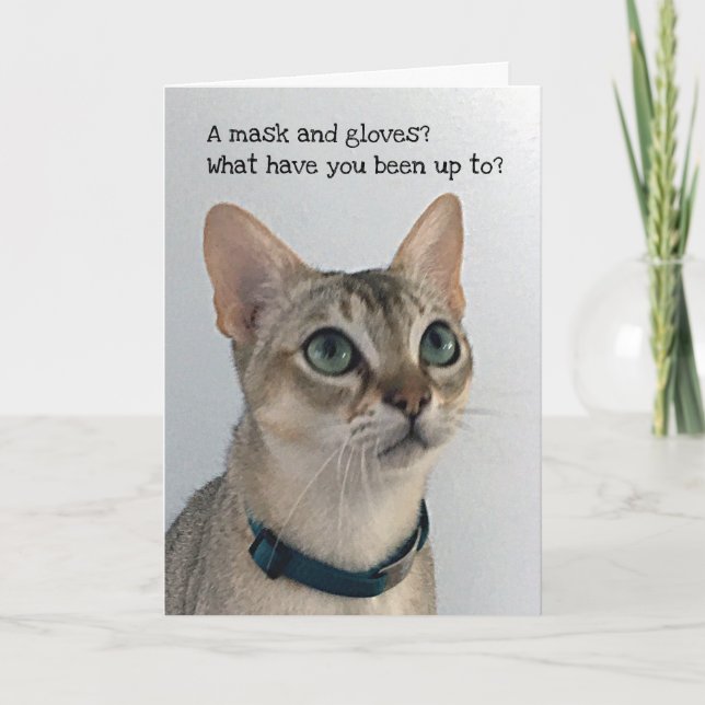Carte Curieux chat perdant en société (Devant)