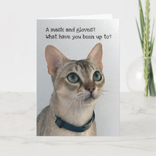 Carte Curieux chat perdant en société