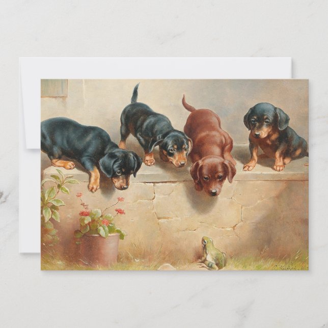 Carte Curieux Chiots Dachshund | Carl Reichert (Devant)