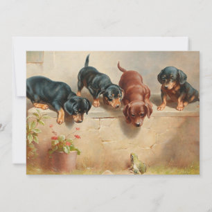 Carte Curieux Chiots Dachshund   Carl Reichert
