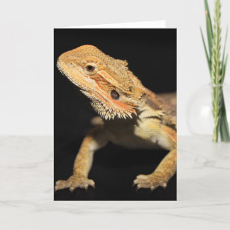 Carte Curieux Dragon À Portes 3