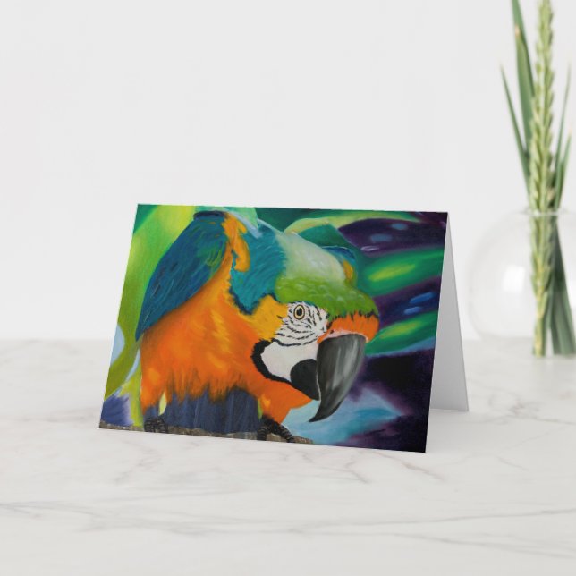 Carte Curieux Macaw (Devant)