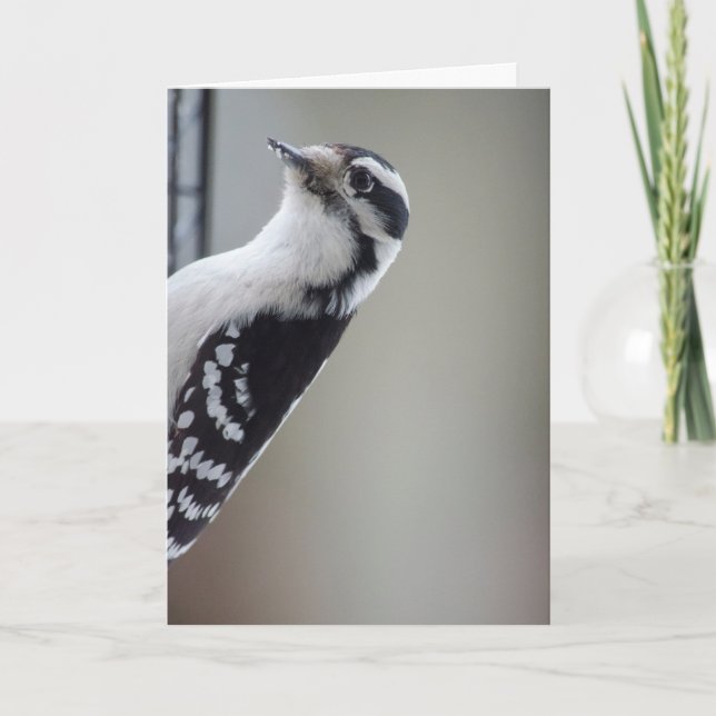 Carte Curieux Pic (Devant)