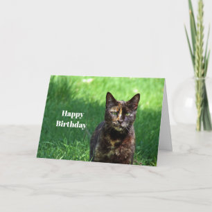 Carte Cute Brown Tortoiseshell Photo Chat Anniversaire