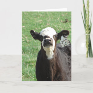 Carte Cute Calf, on a déménagé