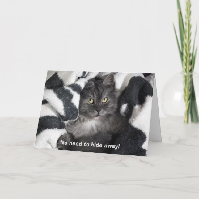 Carte Cute Chat caché Anniversaire (Devant)
