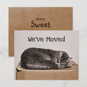 Carte Cute Chat Gris Dormir Sur Boîte Déplaçant