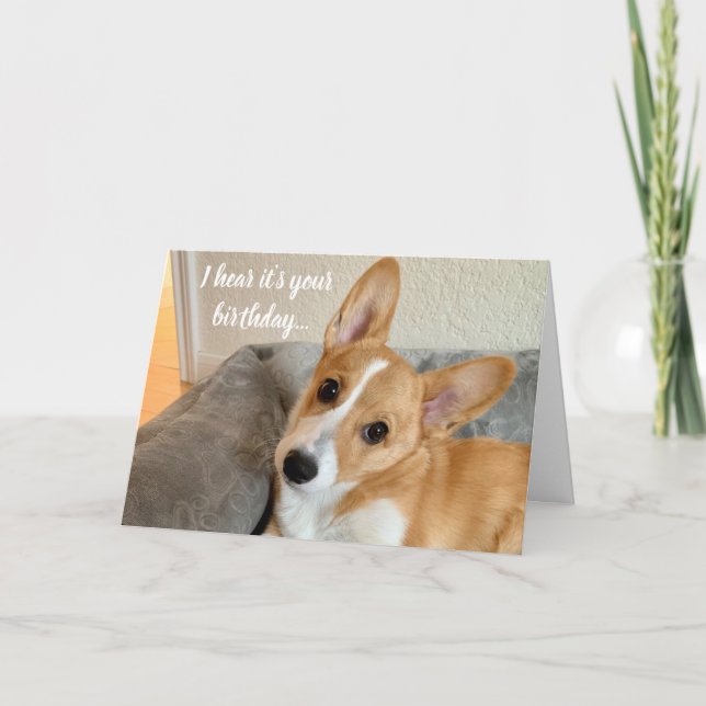 Carte Cute Corgi Photo Funny Chien Amoureux Anniversaire (Devant)