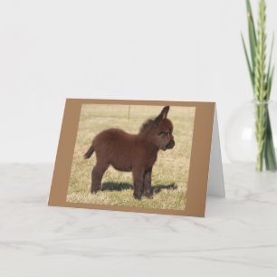 CARTE CUTE DONKEY DIT **JOLI ANNIVERSAIRE À VOUS**