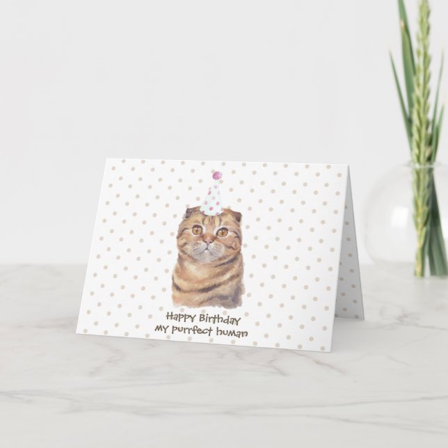Carte Cute écossaise Plier Cheveux Court Chat avec Casqu (Devant)