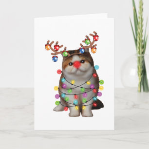 Carte Cute Exotic Shorthair Chat Funny Noël cadeau de va
