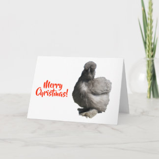 Carte Cute Fluffé Bleu Silkie Poulet Joyeux Noël