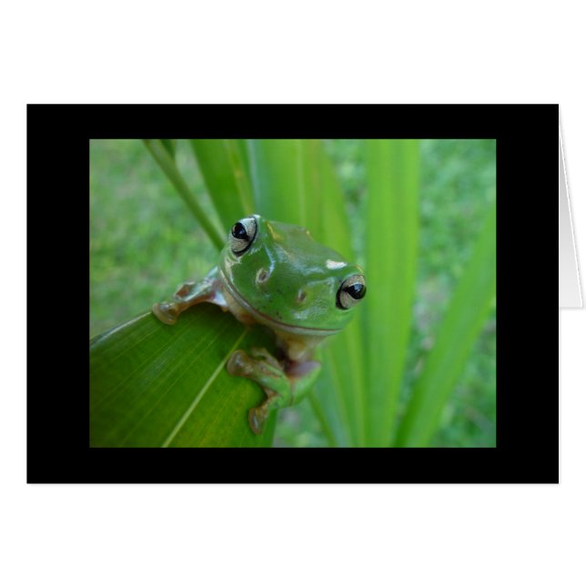 Carte Cute Frog (Devant Horizontal)