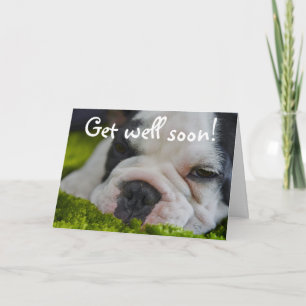 Carte Cute Funny
