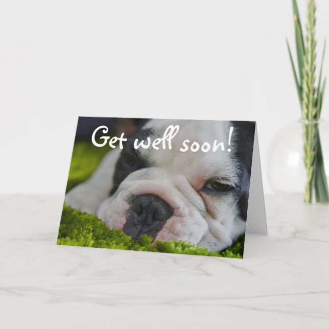 Carte Cute Funny (Devant)