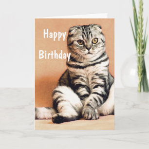 Carte Cute Funny Chat Joyeux Anniversaire
