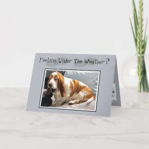 Carte Cute "Get Well" Card W/Under The Weather Basset