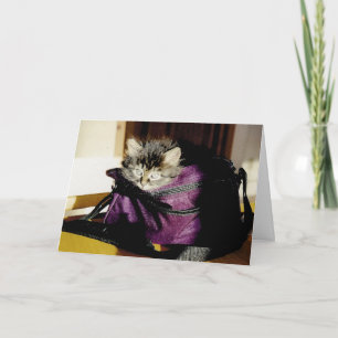 Carte Cute Grey Kitten En Purse Penser De Vous Personnal