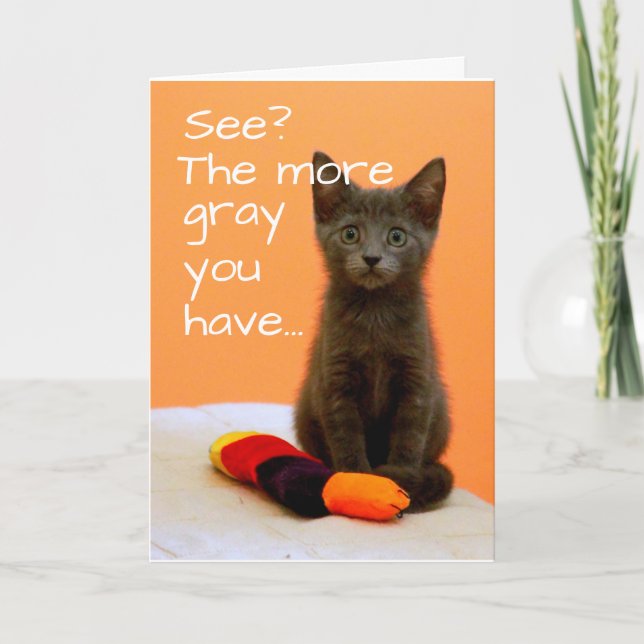 Carte Cute Grey Kitten sur Arrière - plan orange (Devant)