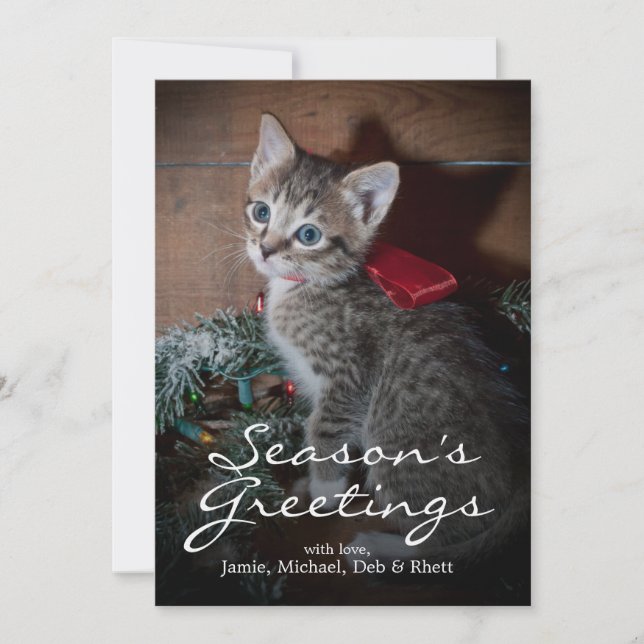 Carte Cute Kitten (Devant)