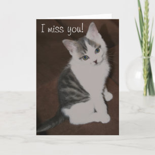 Carte Cute Kitten "I miss you"