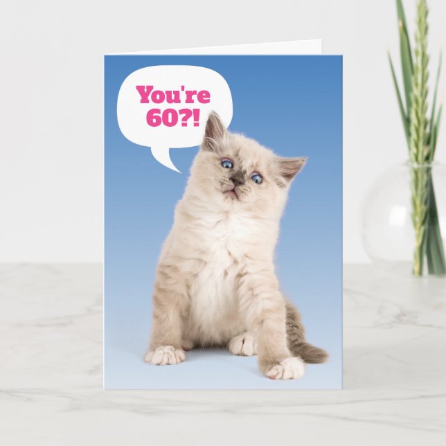 Carte Cute Kitten Tu as 60 ans ?! Anniversaire Personnal (Devant)