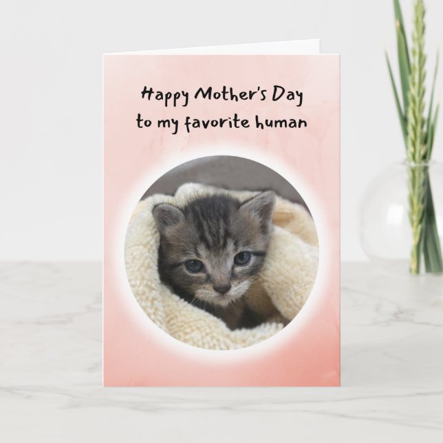 Carte Cute Kitten You are My Favorite Human Mother's Day (Devant)