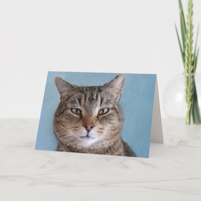 Carte Cute Kitty "From the Cat" Anniversaire (Devant)