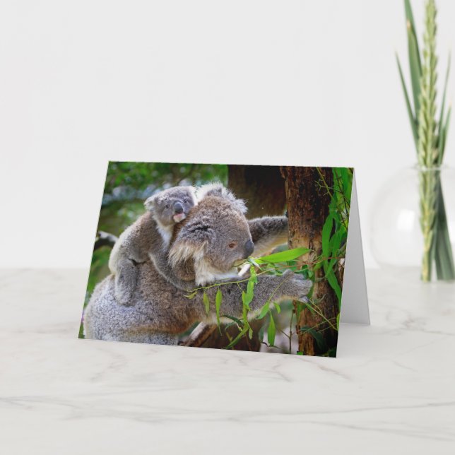 Carte Cute Koalas (Devant)