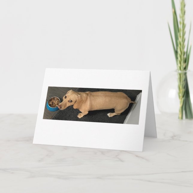 Carte Cute Let's Do Lunch Dachshund (Devant)
