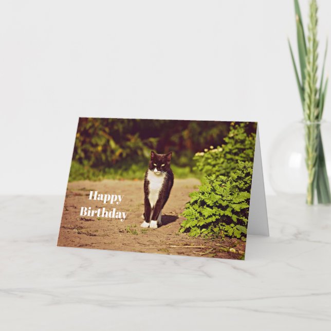 Carte Cute noir et blanc Tuxedo Photo Chat Anniversaire (Devant)