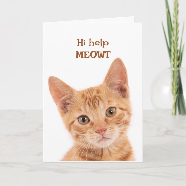 Carte Cute Orange Kitten Hi Comment es-tu drôle Animal (Devant)