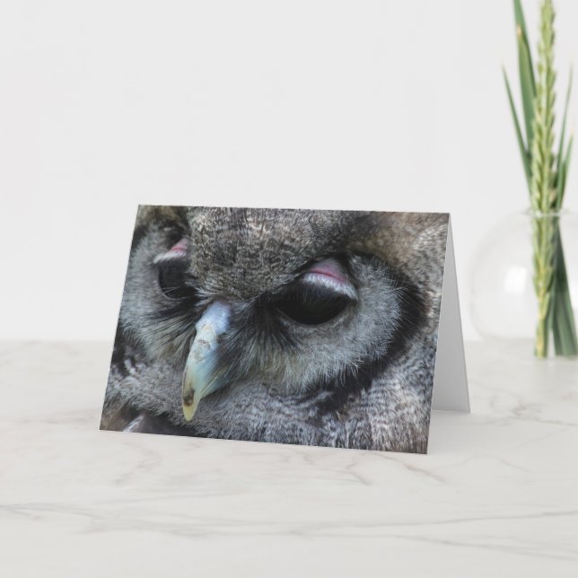 Carte Cute Owl (Devant)