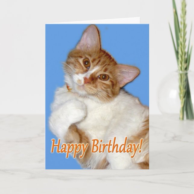 Carte Cute Pot Chat - Anniversaire Général (Devant)