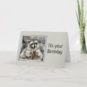 Carte Cute Raccoon applaudissant Humour d'anniversaire