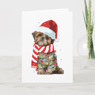 Carte Cute Shitzu Amoureux des chiens Funny Noël cadeau 