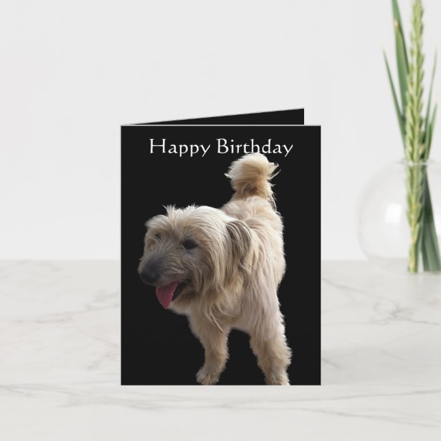 Carte Cute Terrier (Devant)