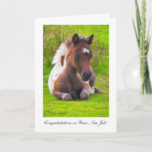 Carte Cute Yearling Foal - Félicitations pour le nouveau