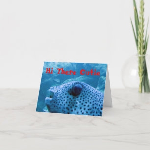 Carte Cutie Fish Note